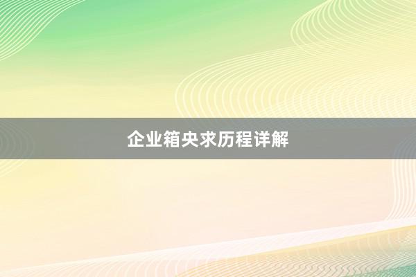 企业箱央求历程详解