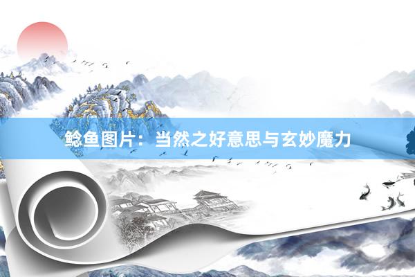 鲶鱼图片：当然之好意思与玄妙魔力